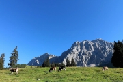 Tag beim Hüttenteam auf der Hochfeldern Alm