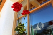 Tag beim Hüttenteam auf der Hochfeldern Alm