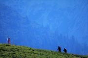 Tag beim Hüttenteam auf der Hochfeldern Alm