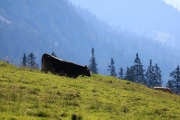 Tag beim Hüttenteam auf der Hochfeldern Alm