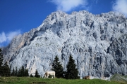 Tag beim Hüttenteam auf der Hochfeldern Alm