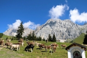Tag beim Hüttenteam auf der Hochfeldern Alm