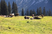 Tag beim Hüttenteam auf der Hochfeldern Alm