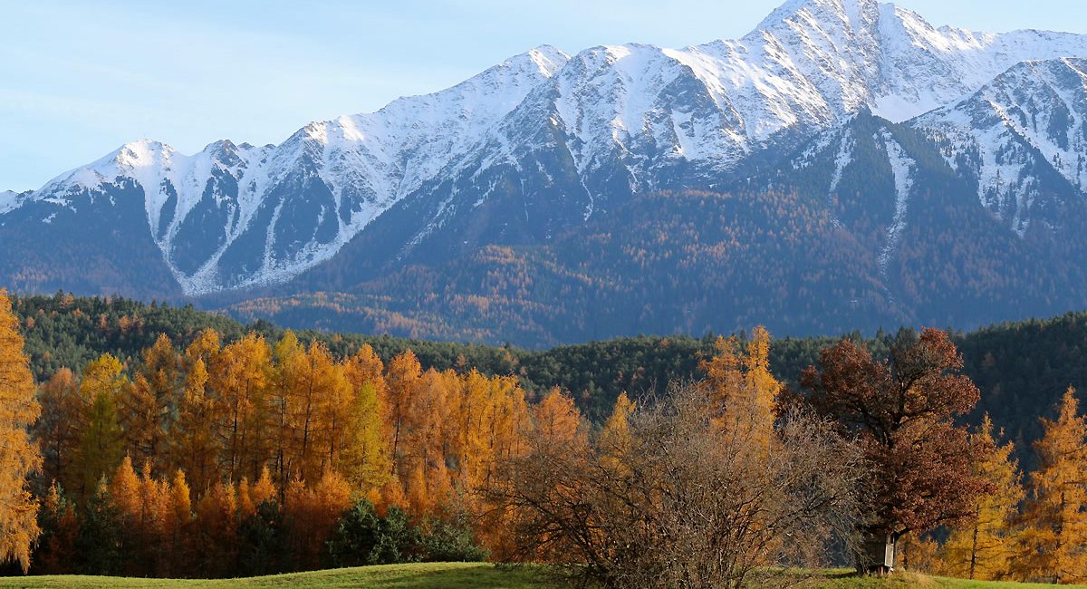 Goldener Herbst am Mieminger Sonnenplateau. Foto: Knut Kuckel/Tirol.bayern